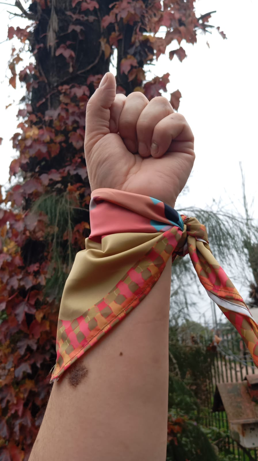 Pañuelo atado en la muñeca con el puño levantado